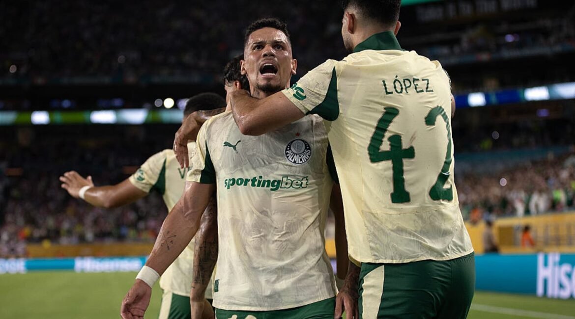 palmeiras vs botafogo rj