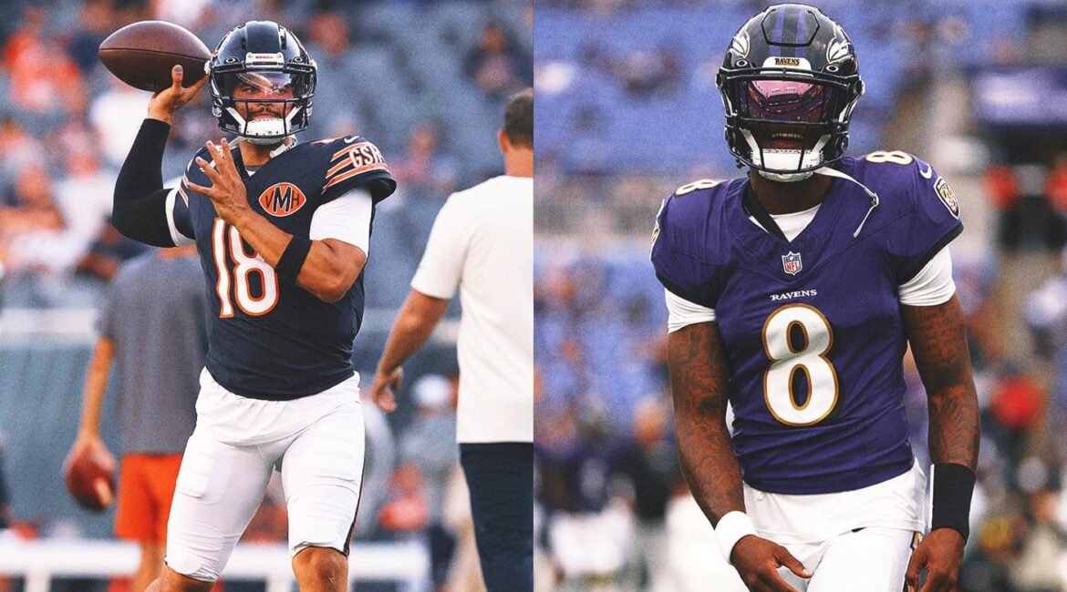 nfc afc north horizontal