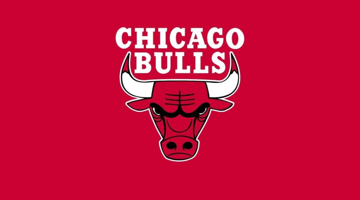 bulls logo e1664312261393