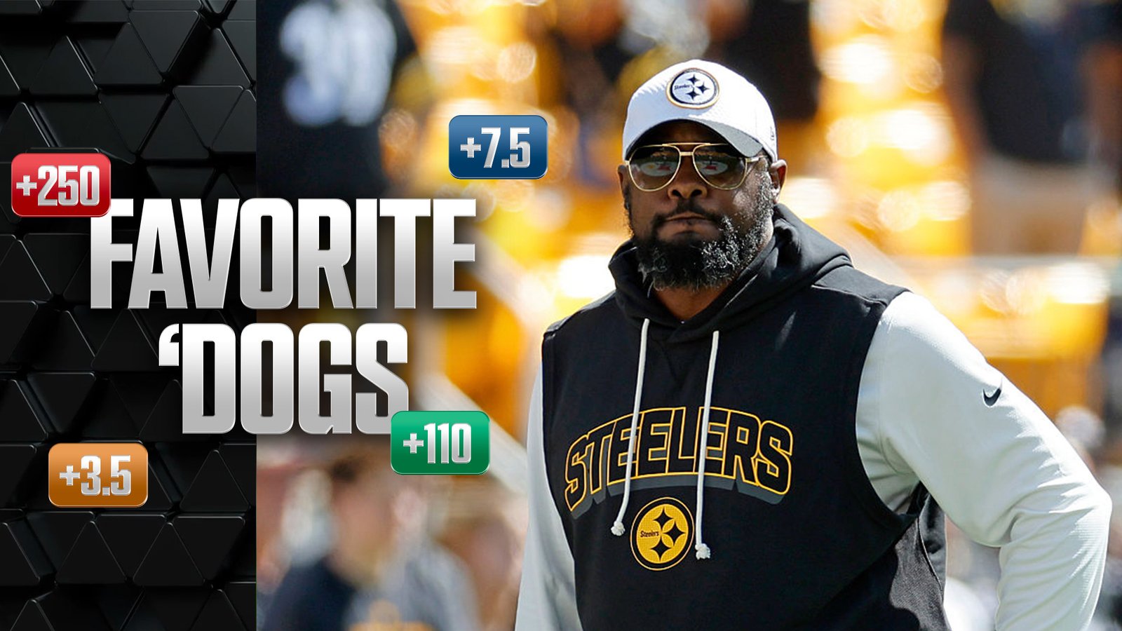 Favorite Dogs Back Mike Tomlin Steelers at Bears Mizzou at