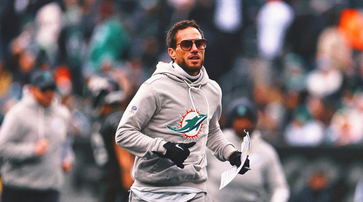 mike mcdaniel horizontal