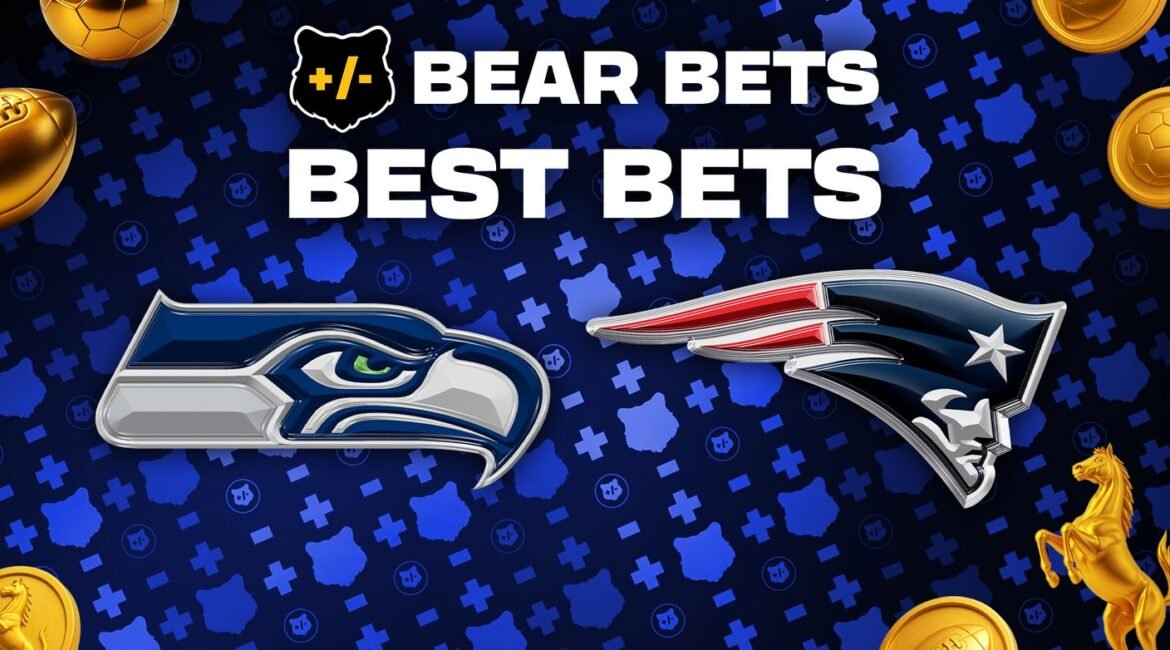 bear anything 16x9 3