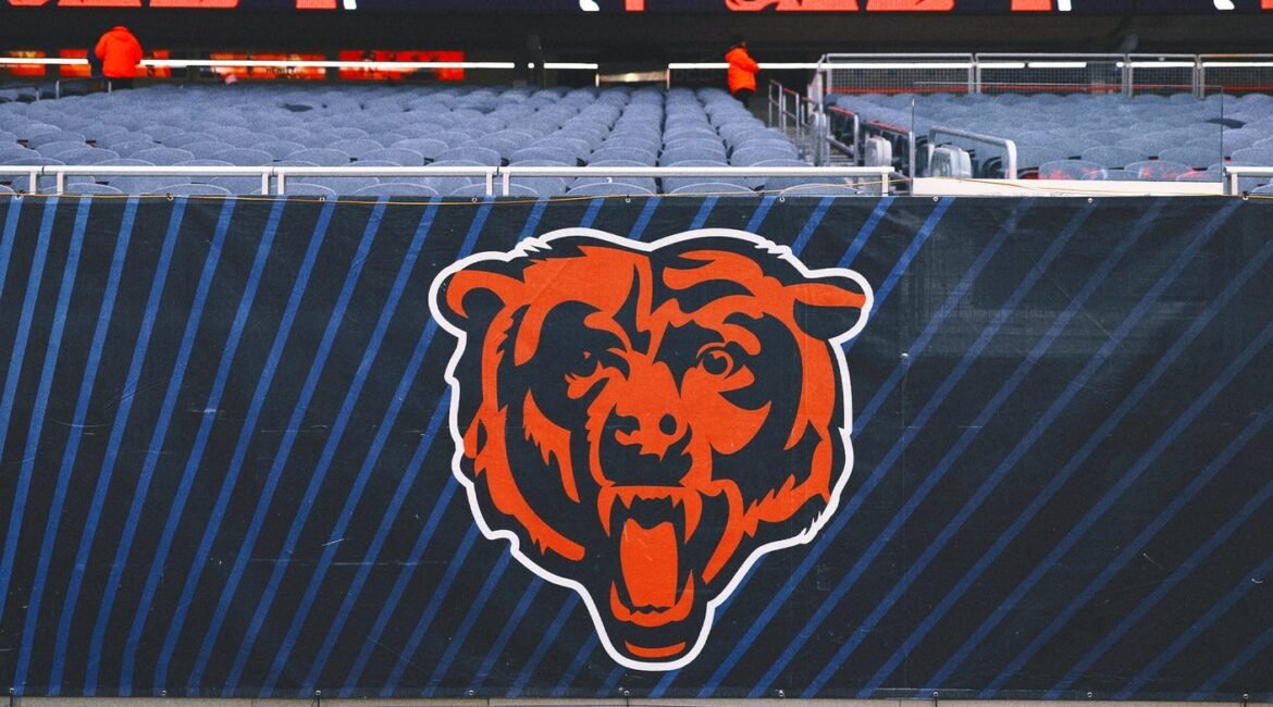 bears logo