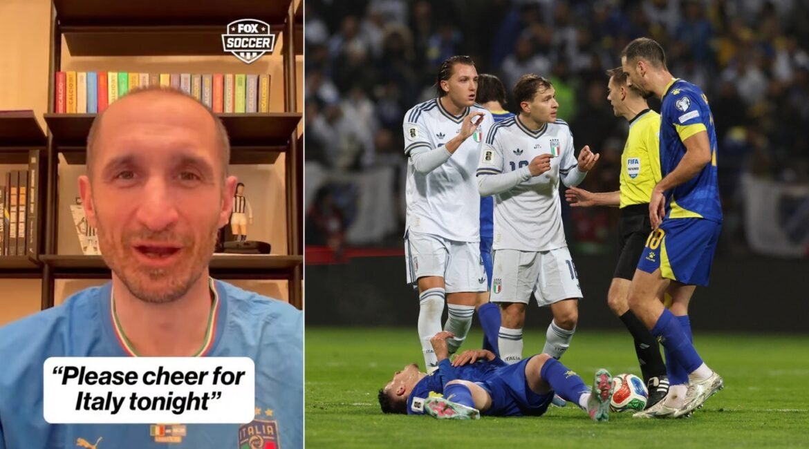 mixcollage 31 mar 2026 01 21 pm 8858