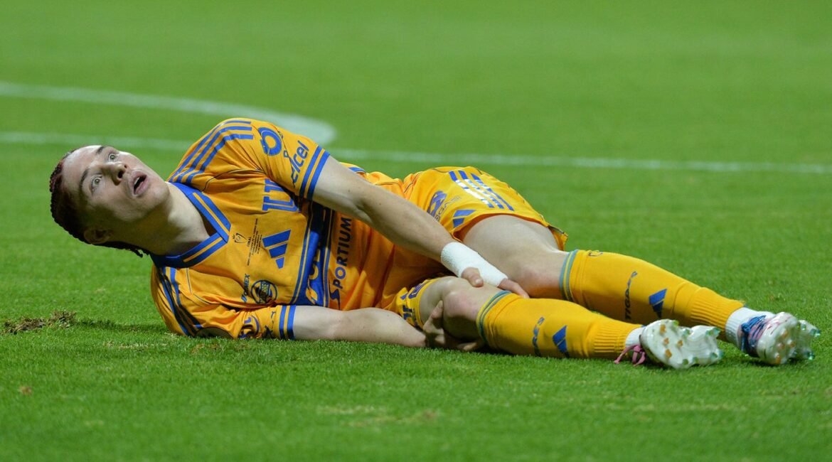 Canada’s Marcelo Flores Ruled Out Of World Cup With ACL Injury 2 flores 1