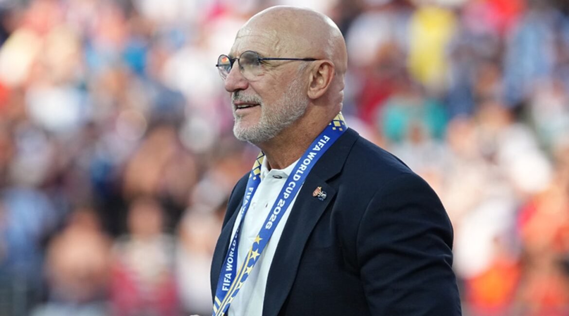 Spain Coach De La Fuente Says Argentina World Cup Final Conduct 'Unacceptable' 2 luis1