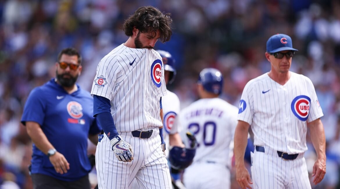cubs1