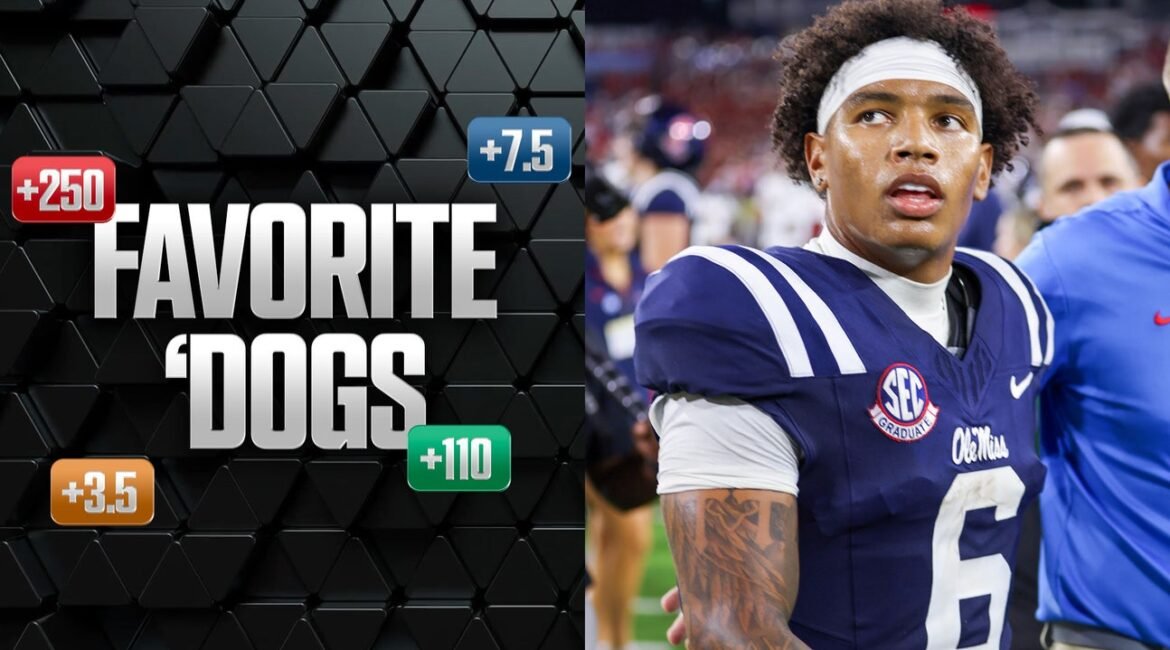 Favorite 'Dogs: Back Ole Miss Over Florida; Jets Over Lions 3 artboard 1 42
